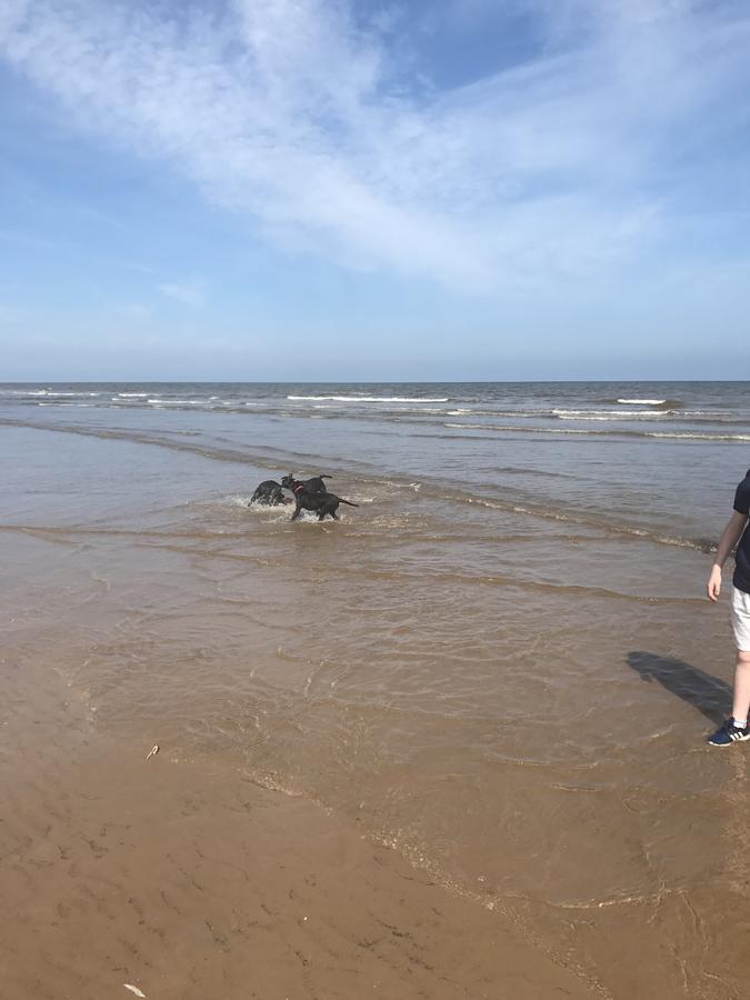L76 Rickardos Holiday Lets Mablethorpe Eksteriør billede